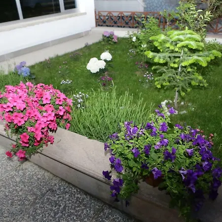 Aden Apart Отель Анкара